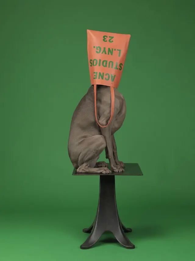 Surrealist Figure with Textual Head, abstract, organic, vibrant