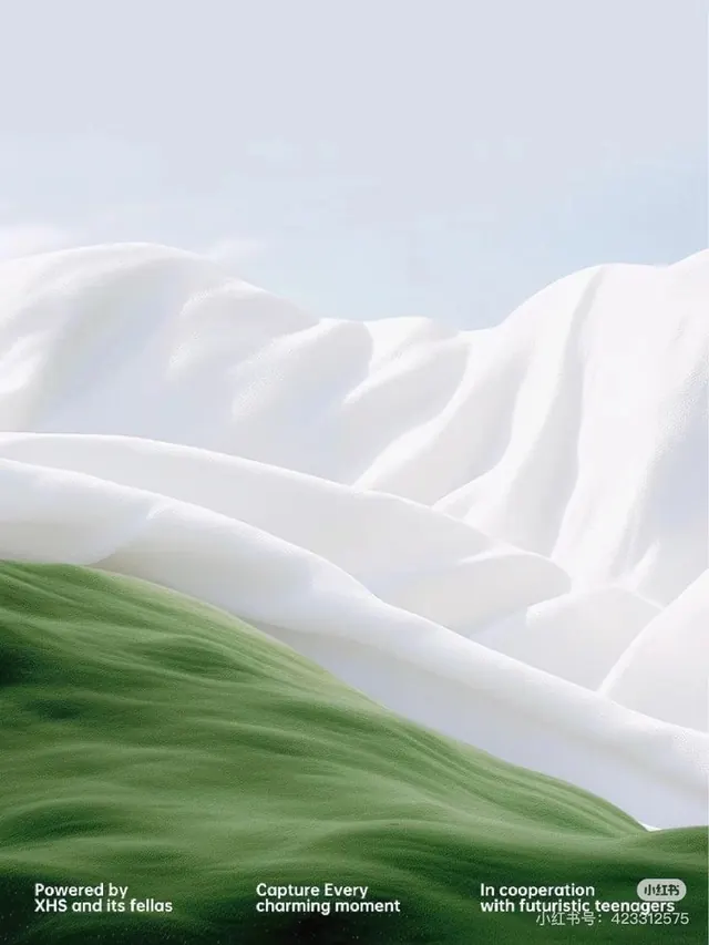 Landscape Abstract Graphic, minimal, organic, high-contrast