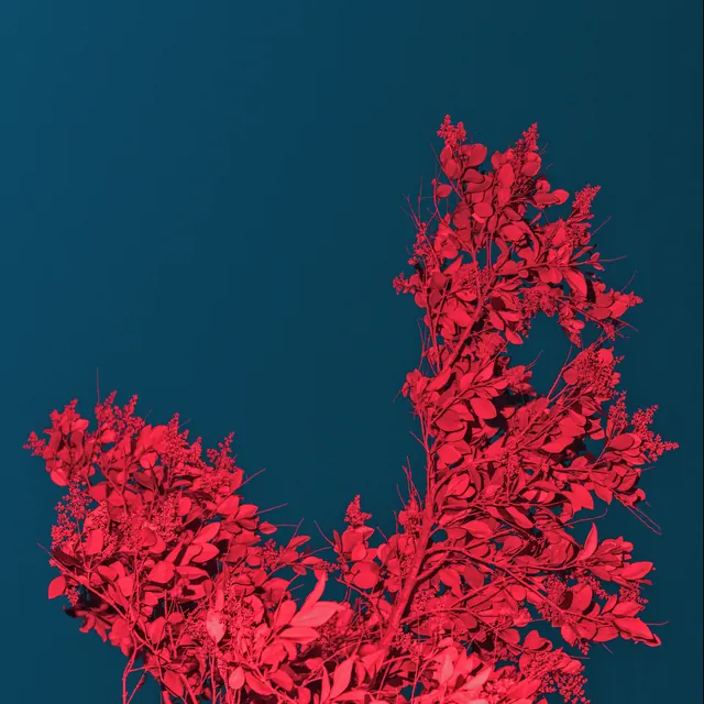 Red Foliage on Blue Background, abstract, vibrant