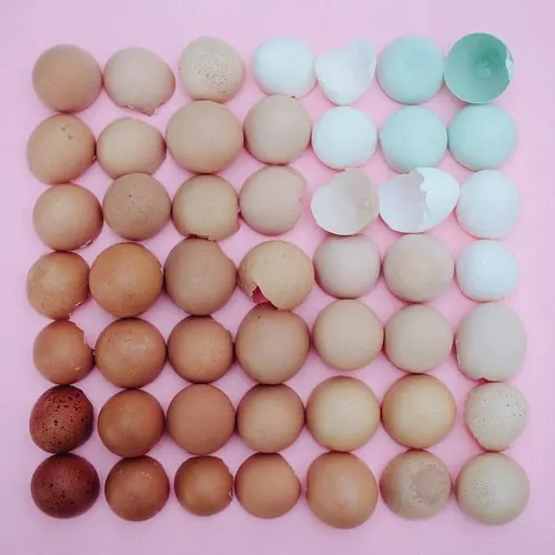 Spherical Gradient Pattern, 3d-render, minimal, pastel
