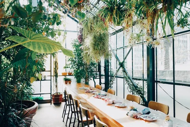 Indoor Tropical Garden Workspace, organic, light-mode, light
