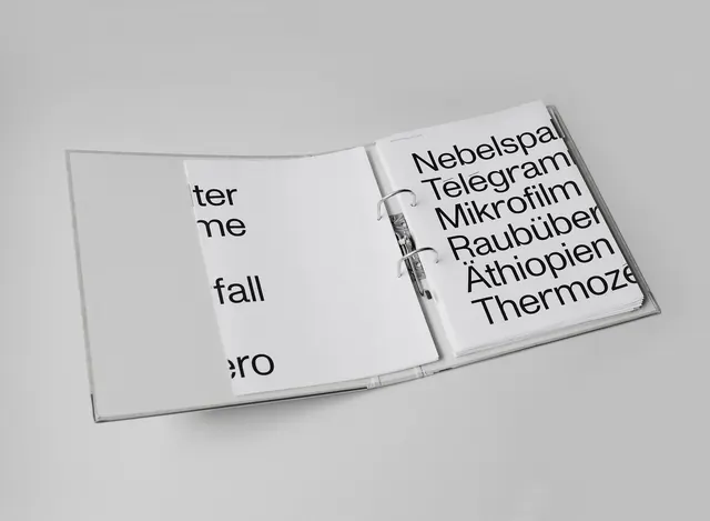 Typography Type Specimen