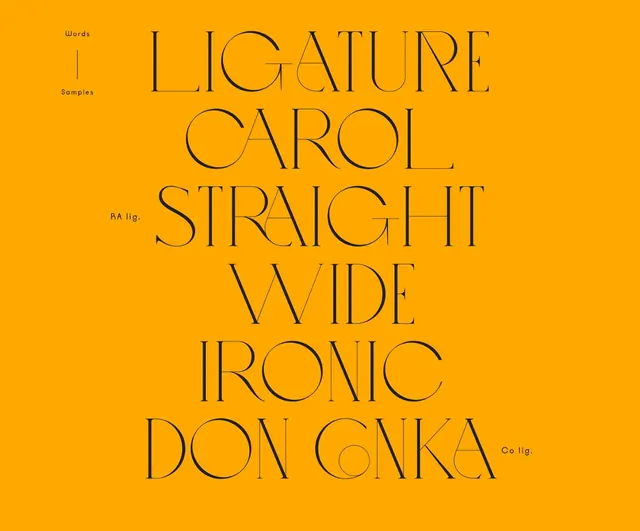 Typography Type Specimen