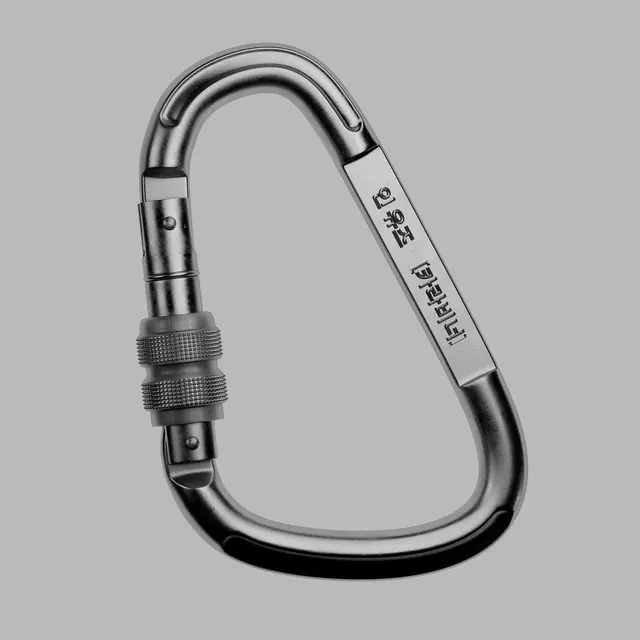 Metal Carabiner with Engraved Branding, minimal, technical, monochrome