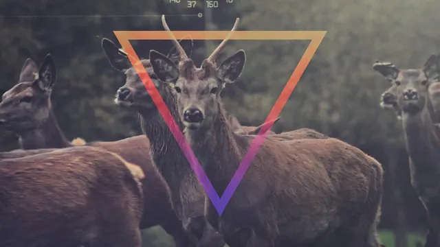 Geometric Deer Graphic