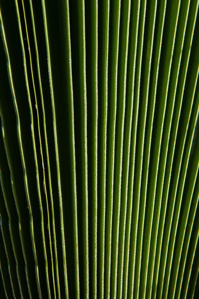 Vertical Green Linear Pattern, minimal, geometric, vibrant