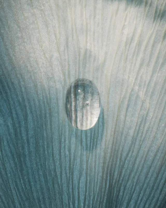 Abstract Texture and Form, organic, minimal, cool