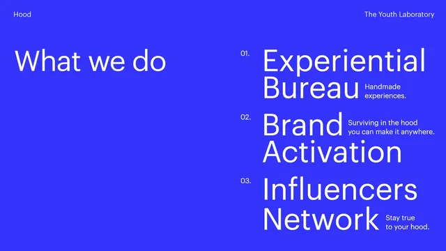 What we do - The Youth Laboratory, minimal, swiss, vibrant