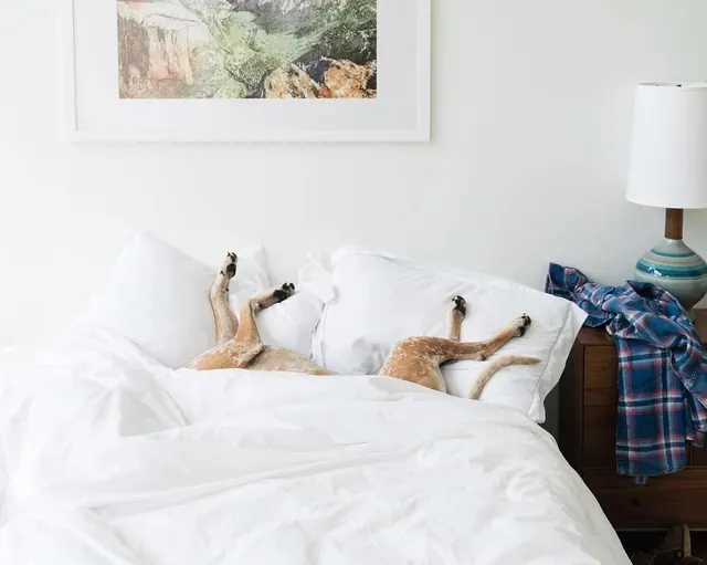Cozy Bedroom Interior, minimal, light-mode, light