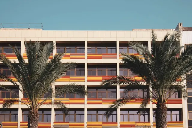 Modernist Architecture with Palm Trees, minimal, geometric, high-contrast