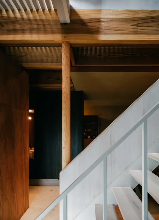 Modern Interior Architecture, minimal, organic, warm