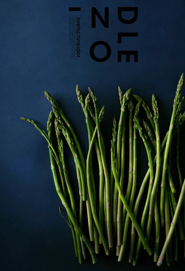 Vertical Typography and Botanical Composition, minimal, editorial, dark