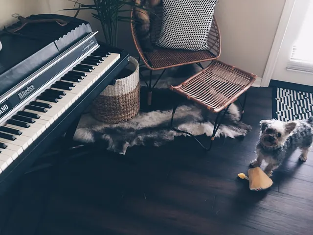Cozy Home Studio Interior, organic, photographic, warm