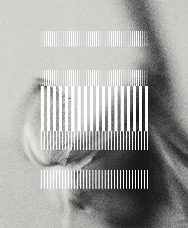 Abstract Portrait with Vertical Line Overlay, minimal, monochrome, monochrome