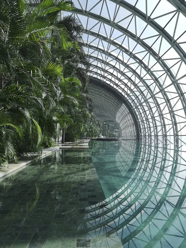 Tropical Indoor Pool with Glass Dome, minimal, organic, muted