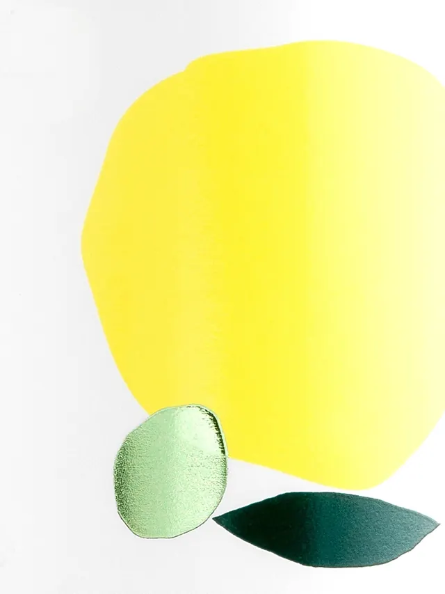 Abstract yellow shape with metallic green circle and dark leaf, minimal, abstract, vibrant