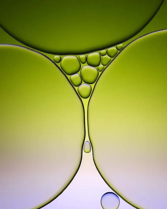 Abstract Organic Bubbles, organic, minimal, vibrant