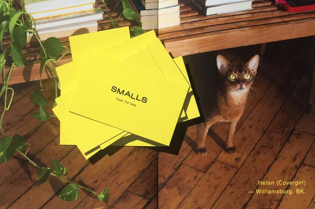 Smalls Brand Identity Mockup, minimal, organic, vibrant
