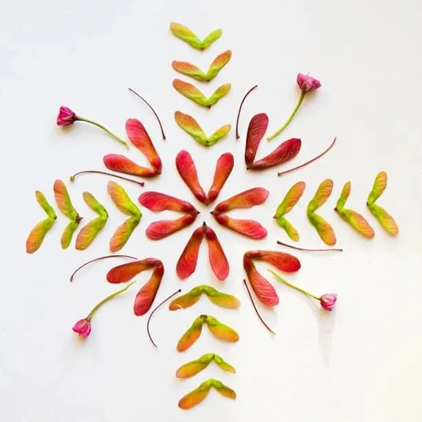Floral Arrangement Graphic