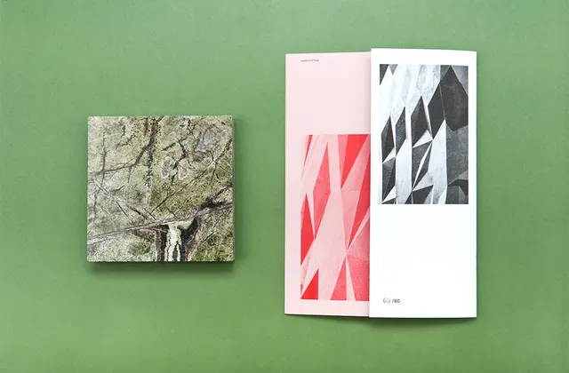 Editorial Layout with Abstract Graphics, minimal, editorial, vibrant