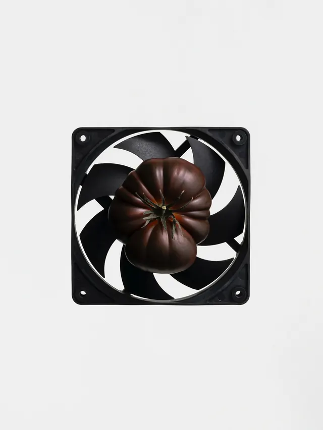 Abstract Floral Graphic, minimal, geometric, monochrome
