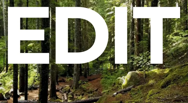 EDIT Typography Overlay