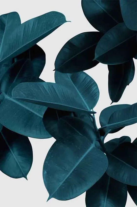 Dark Teal Leaf Pattern, organic, photographic, dark