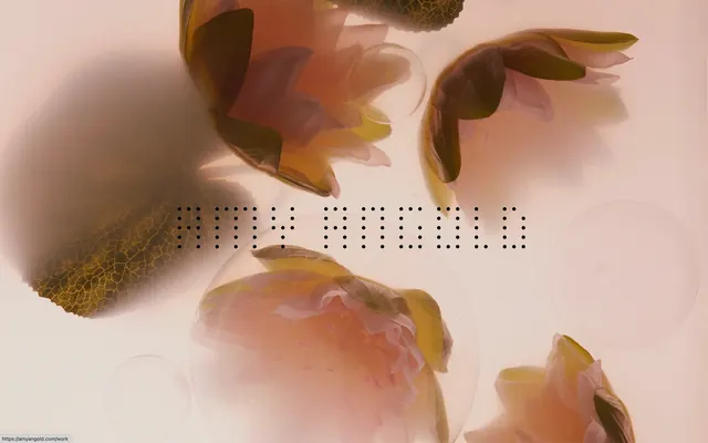 Abstract Organic Fluidity, organic, minimal, warm