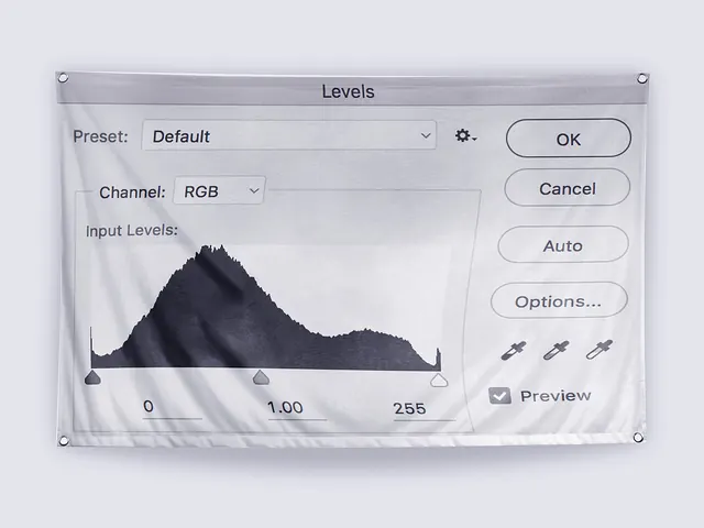Levels Adjustment Interface, minimal, corporate-clean, light