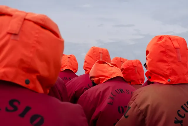 Group Portrait in Red Hoodies, minimal, photographic, vibrant