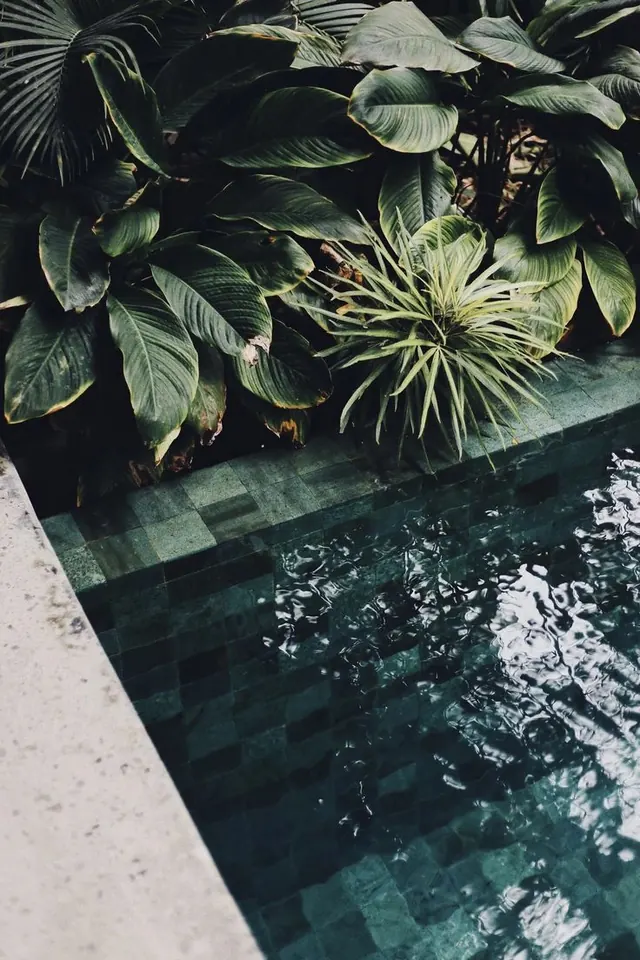 Tropical Poolside Scene, organic, photographic, vibrant