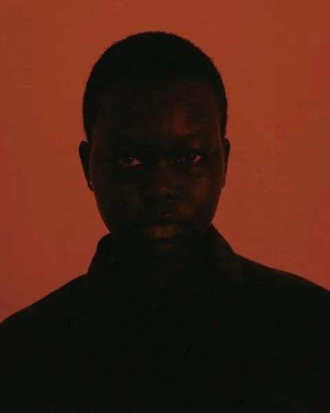 Silhouette Portrait in Red, minimal, dark-mode, vibrant