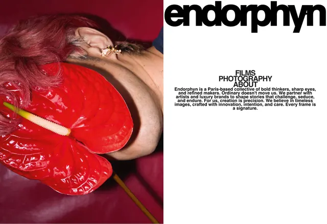Endorphyn Brand Identity, maximalist, photographic, vibrant