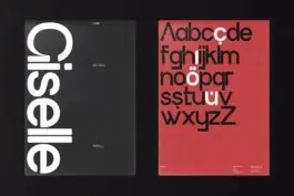 Cisele Type Specimen