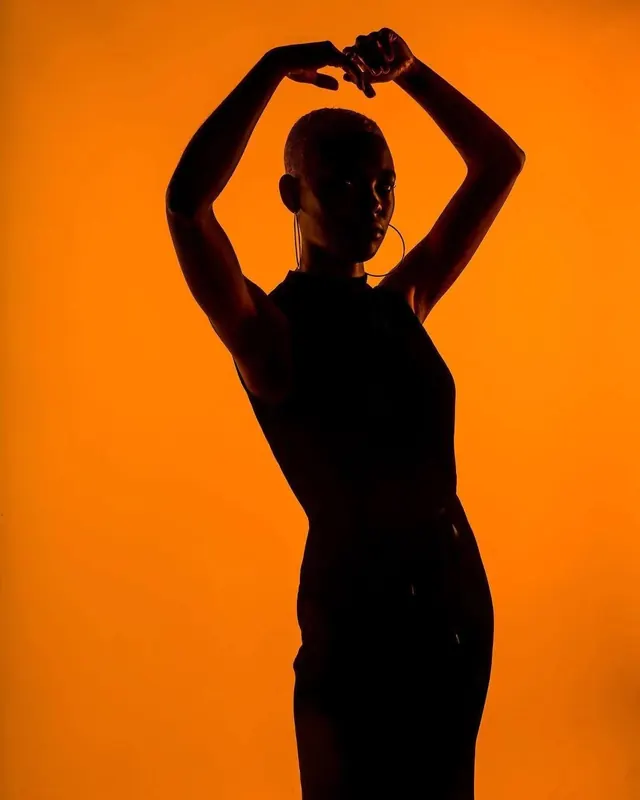 Silhouette in Orange, minimal, abstract, vibrant