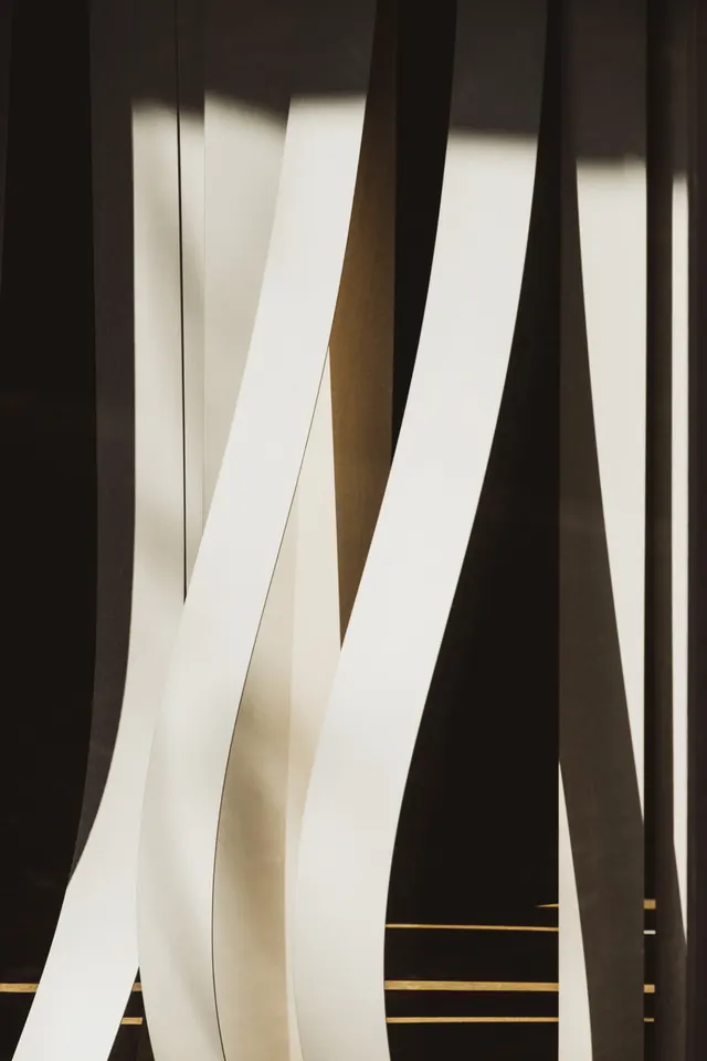 Abstract Ribbon Composition, minimal, luxury, monochrome