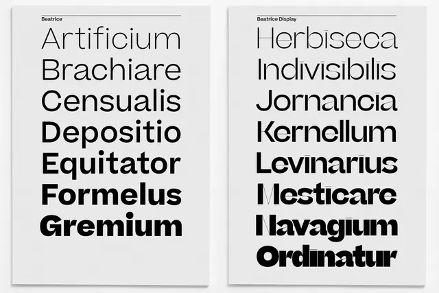 Latin Wordmark Typography Study, minimal, editorial, monochrome