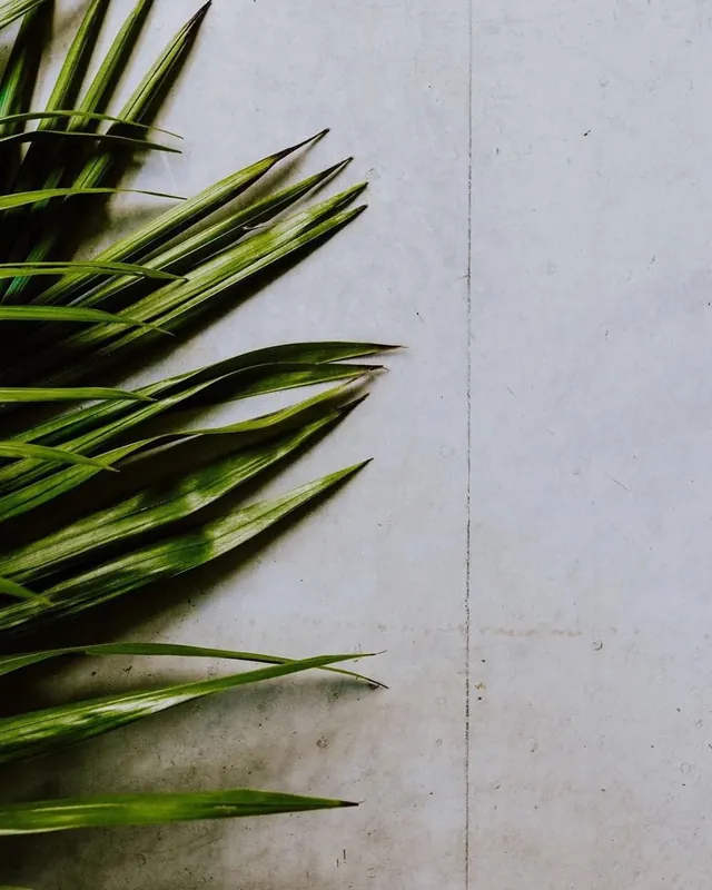 Green Leaf Texture, organic, minimal, vibrant