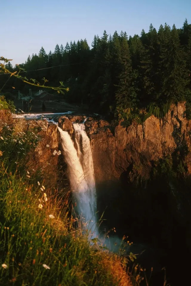 Waterfall in Forest, photographic, organic, vibrant