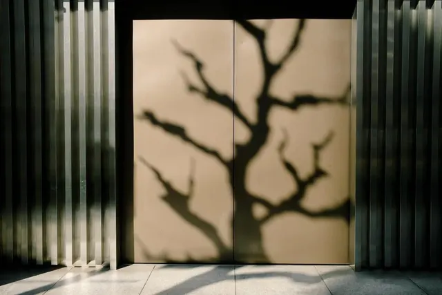 Tree Shadow Door Installation, minimal, organic, monochrome
