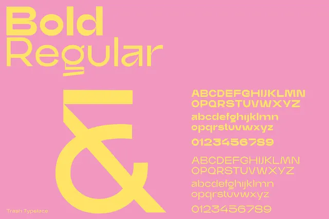 Bold & Regular Typography Specimen