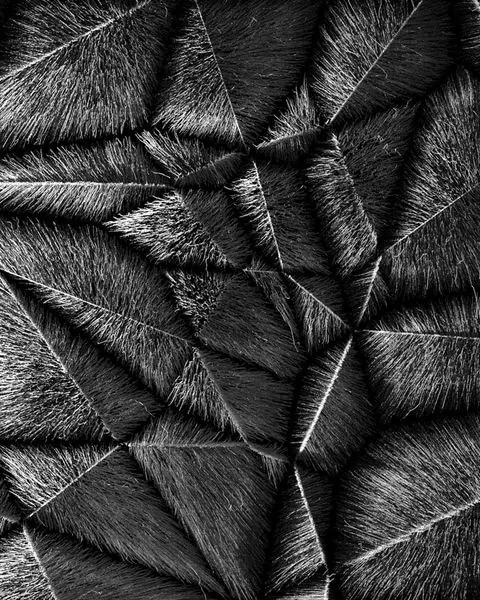Abstract Geometric Texture, minimal, monochrome, monochrome