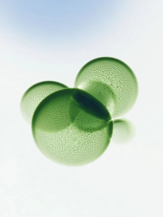 Green Spherical Abstract Graphic, minimal, geometric, vibrant
