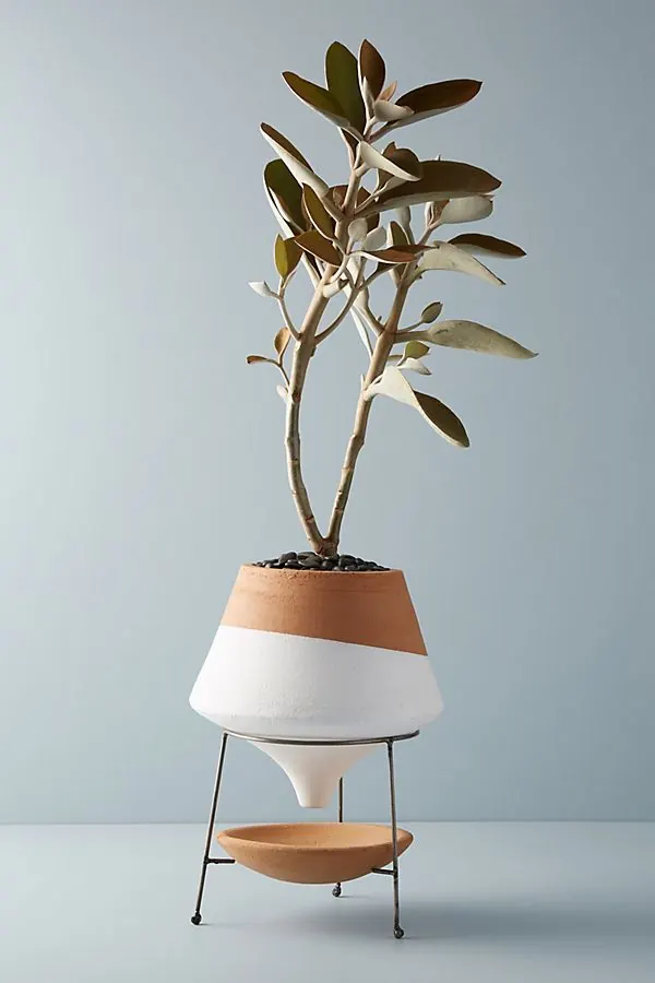 Minimalist Planter Mockup