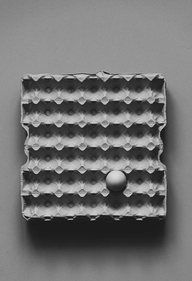 Textured 3D Surface Study