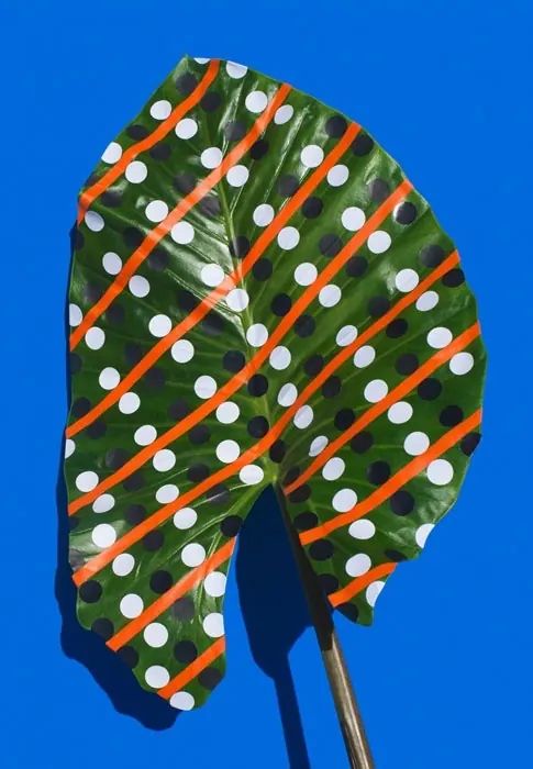Patterned Swimwear Mockup, playful, geometric, vibrant
