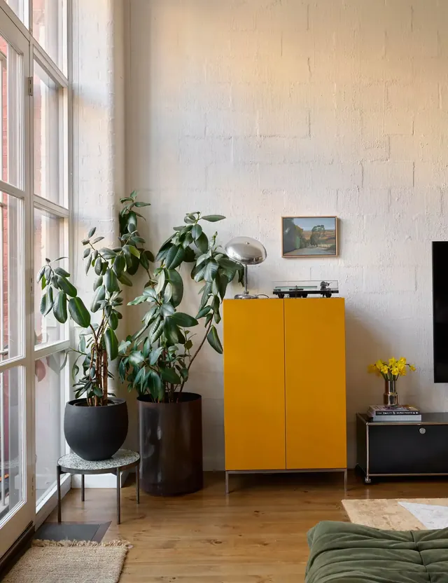 Minimalist interior with mustard cabinet and potted plants, minimal, organic, warm
