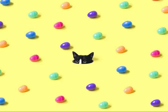 Playful Geometric Pattern with Cat Illustration, playful, 3d-render, vibrant