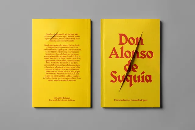 Don Quixote Book Cover Design, minimal, flat, vibrant