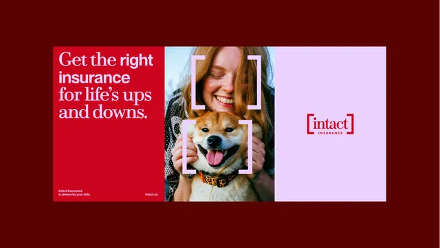 Fintact insurance branding with photo and headline, corporate-clean, minimal, vibrant